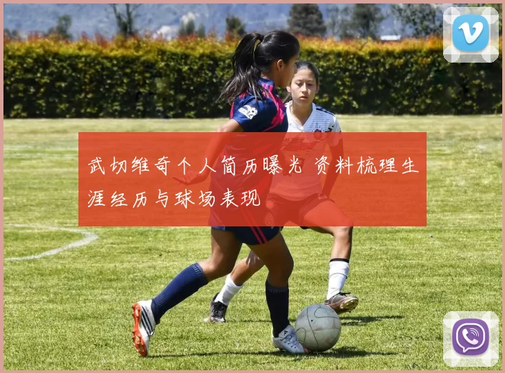 武切维奇个人简历曝光 资料梳理生涯经历与球场表现