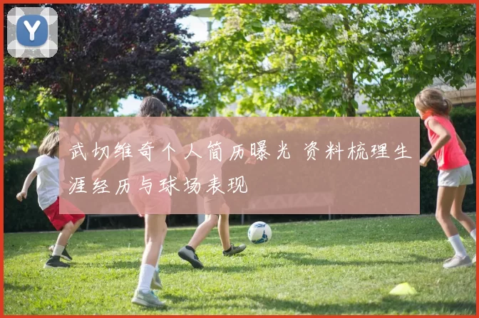 武切维奇个人简历曝光 资料梳理生涯经历与球场表现