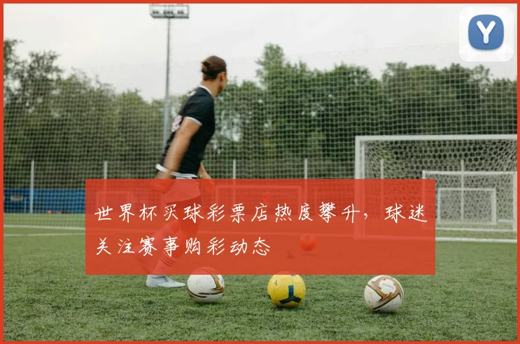 世界杯买球彩票店热度攀升,球迷关注赛事购彩动态